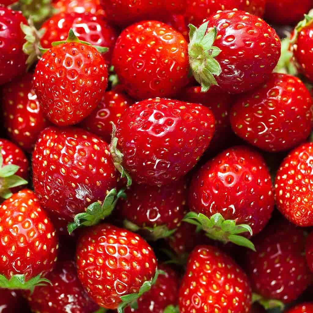 Strawberry Extract