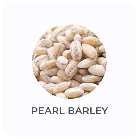 Pearl Barley